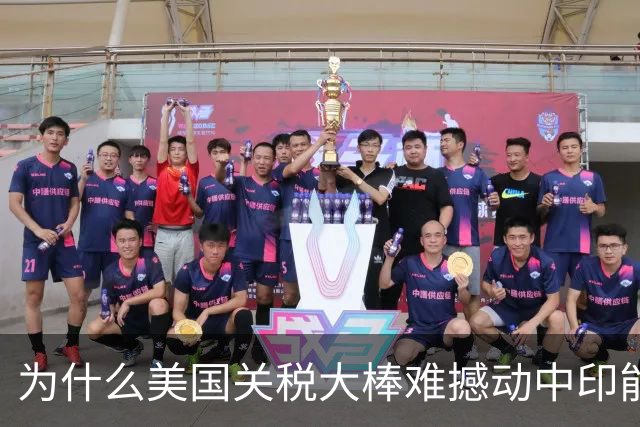 为什么美国关税大棒难撼动中印能源选择？